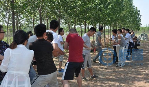 東營分公司戶外拓展訓(xùn)練活動(dòng)