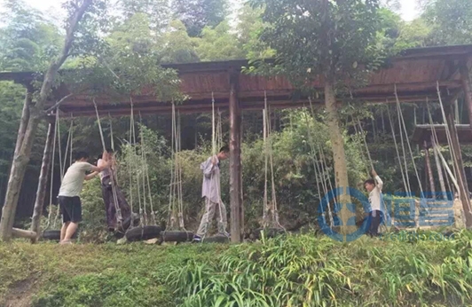 上海第八分公司舉辦仲夏狂歡兩日游活動