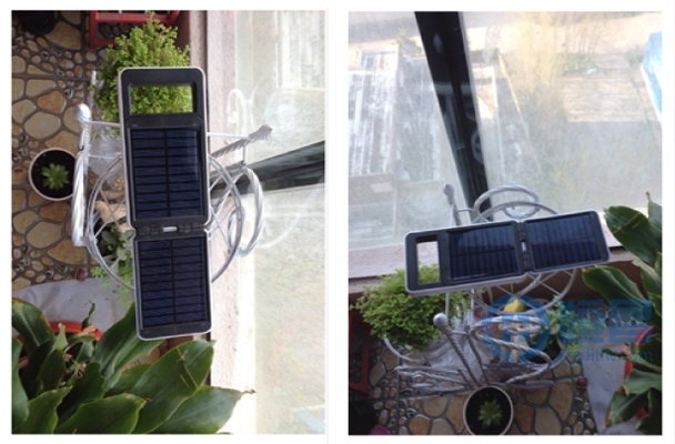 恒昌志愿者協(xié)會成功開展“地球一小時”活動