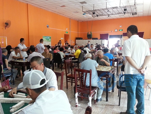 象棋組比賽 象棋組比賽