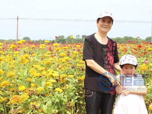 “擁抱財富,擁抱花樣年華”—荻浦村一日游