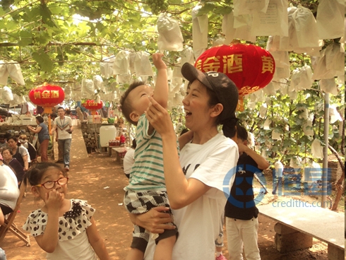 青島分公司葡萄采摘活動0.jpg 青島分公司葡萄采摘活動0.jpg