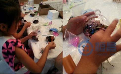 青島分公司DIY苔蘚微景觀親子互動活動