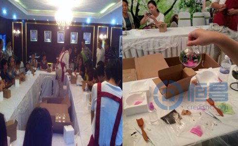 青島分公司DIY苔蘚微景觀親子互動活動