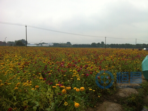 杭州第二分公司舉辦最美鄉村游活動 杭州第二分公司舉辦最美鄉村游活動