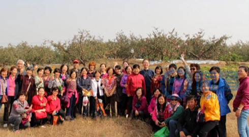 青島第五分公司舉辦“棲霞蘋果采摘一日游” 青島第五分公司舉辦“棲霞蘋果采摘一日游”