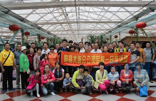 大連一分舉辦葡萄采摘一日游活動