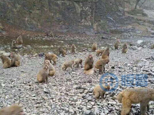 臨汾第一分公司客戶答謝蟒河之行活動紀實 臨汾第一分公司客戶答謝蟒河之行活動紀實