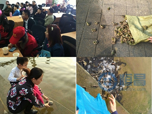 “祈福星城 璀璨恒昌”開(kāi)福寺祈福放生公益活動(dòng)