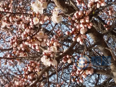 2015年佳木斯分公司春游踏青活動.jpg 2015年佳木斯分公司春游踏青活動.jpg