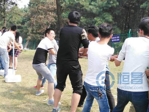 滁州分公司大柳草場團建活動 滁州分公司大柳草場團建活動