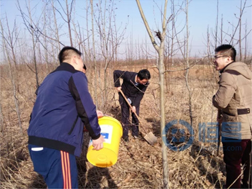 煙臺第三分公司第七營業部舉行“3.12植樹節”活動 煙臺第三分公司第七營業部舉行“3.12植樹節”活動