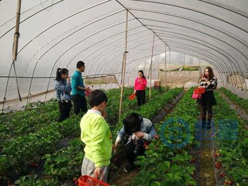 岳陽分公司早春踏青活動圓滿結束 岳陽分公司早春踏青活動圓滿結束