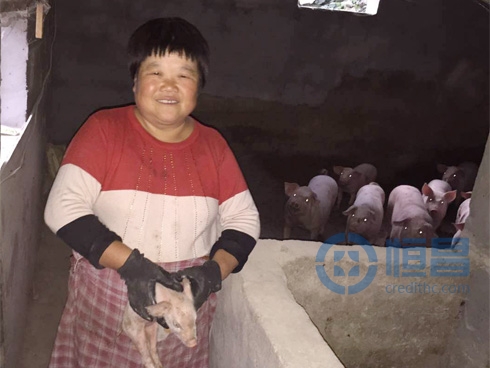 恒昌普惠奏響農村金融豐收曲 恒昌普惠奏響農村金融豐收曲