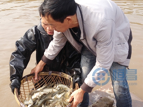 恒昌普惠奏響農村金融豐收曲 恒昌普惠奏響農村金融豐收曲