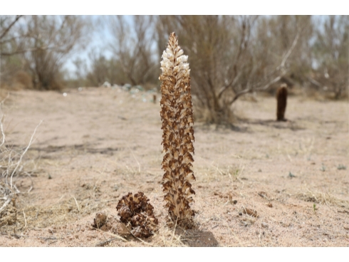 圖片3-490.jpg 圖片3-490.jpg