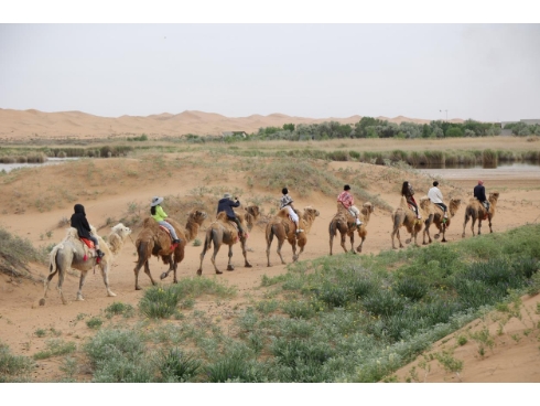 圖片1-490.jpg 圖片1-490.jpg